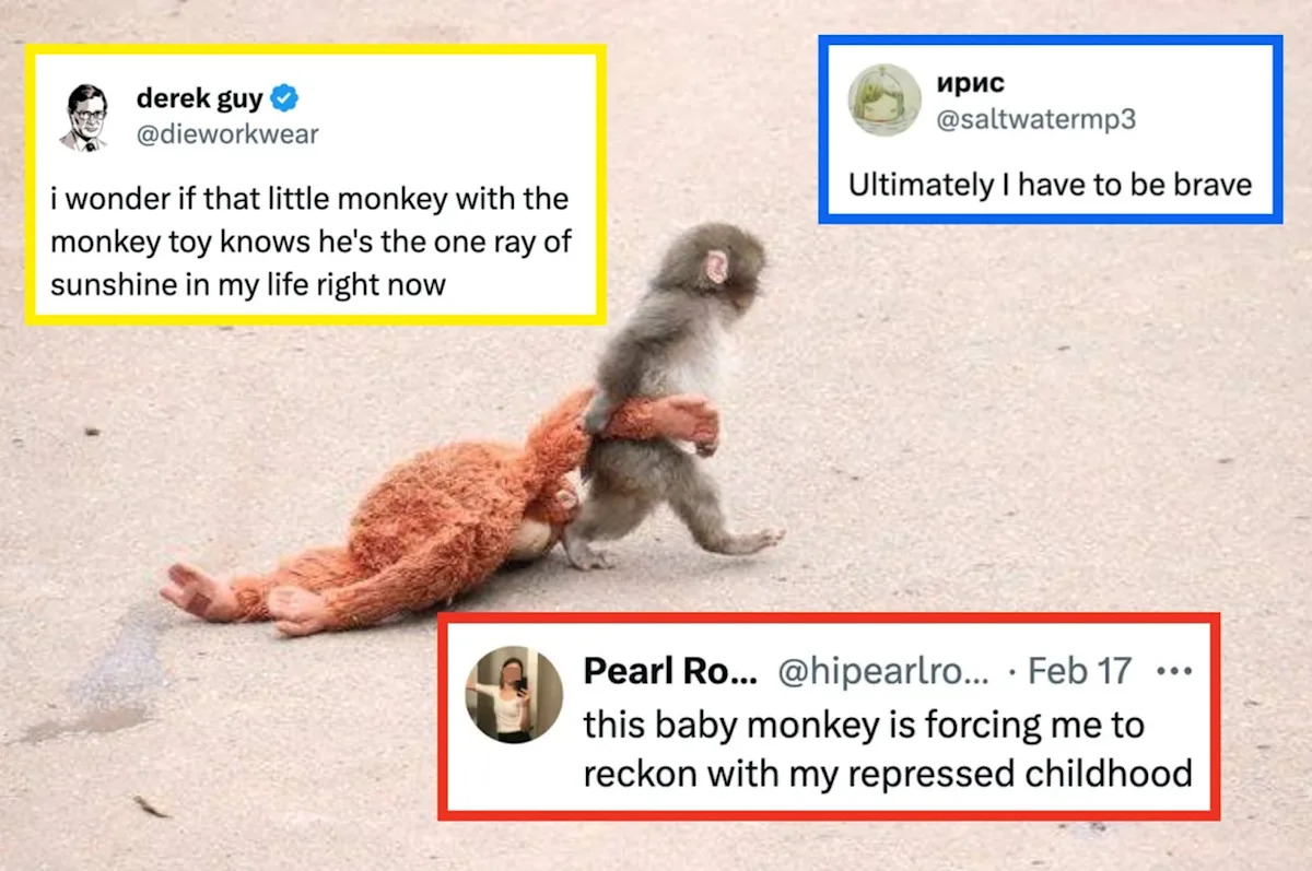 The Word 'Rejected': Meanings, Usage, and English Examples